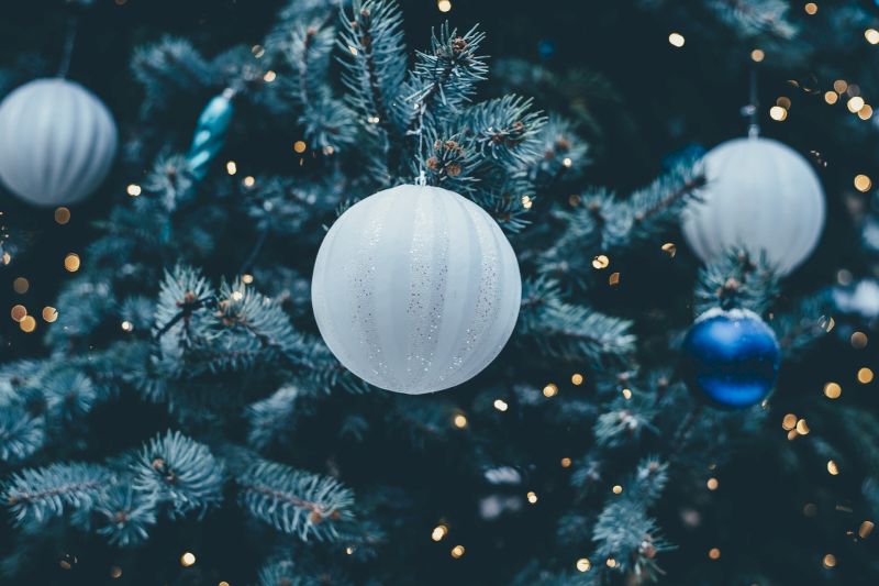 SPE Office - Christmas 2022